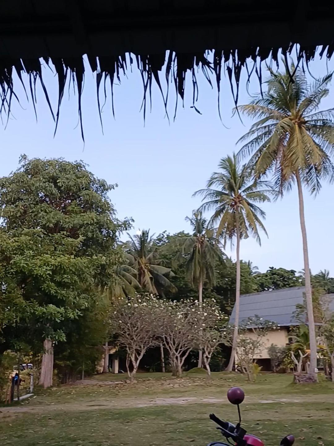Tropicana Khophagan Resort Hotel Thong Sala Værelse billede
