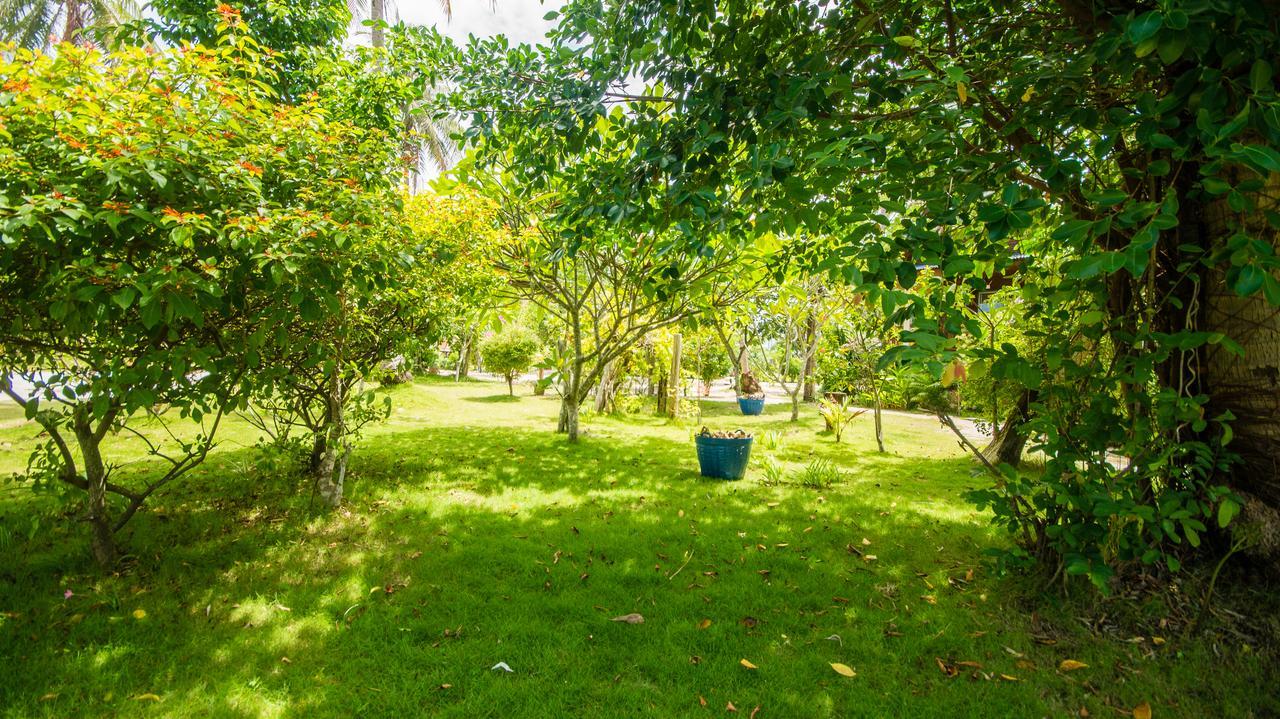 Tropicana Khophagan Resort Hotel Thong Sala Eksteriør billede