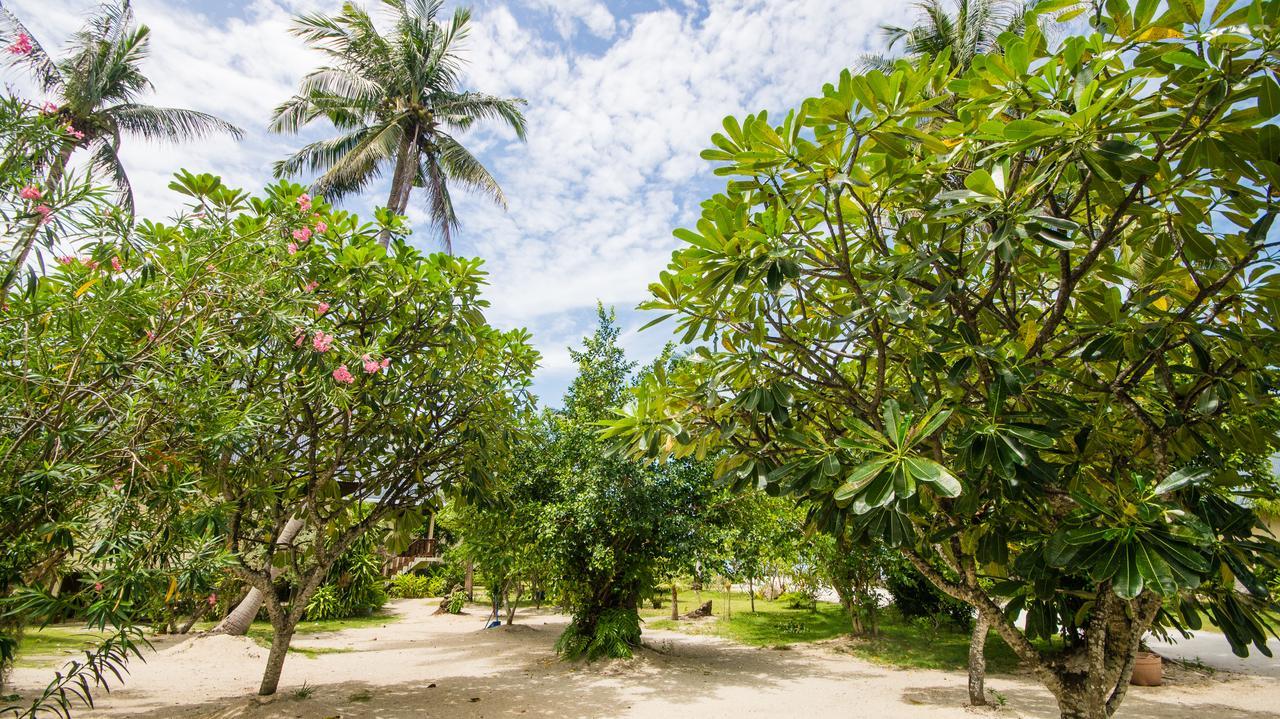 Tropicana Khophagan Resort Hotel Thong Sala Eksteriør billede